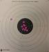 Picture 3 shows 10 shots (full clip) made in ~ 7.8 s at 100 yards using iron sights (after adjustment for windage and elevation, albeit the original settings put me on the paper).