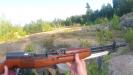 Love this gun