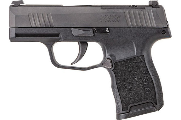 Sig Sauer 365-380-BSS P365 3.1" Night Sight 10-SH Black Polymer